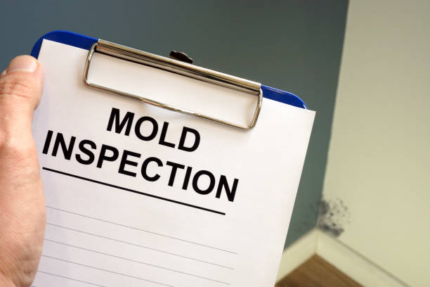 Mold Documentation for Insurance Claims in North Shore, VA